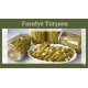 Fasülye Turşusu