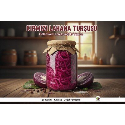 Kırmızı Lahana Turşusu