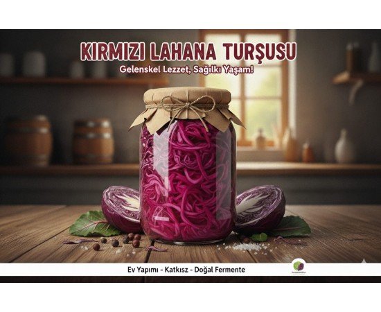 Kırmızı Lahana Turşusu