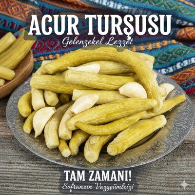 Acur Turşu