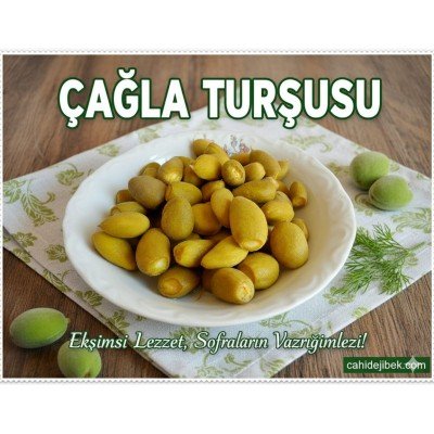 Çağla Turşu