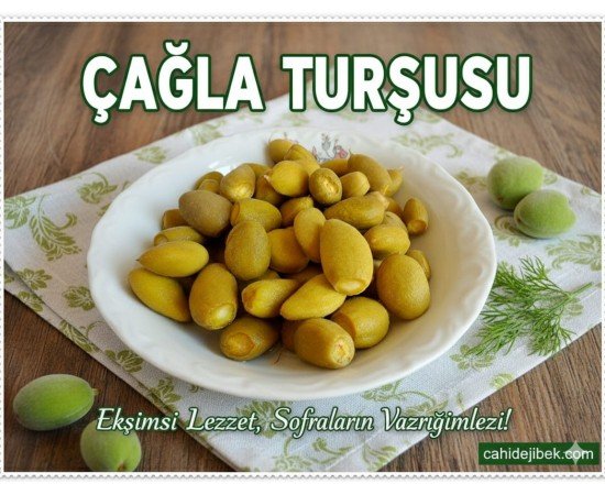 Çağla Turşu